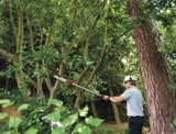 Pielęgnacja krzewów i żywopłotów w okresie letnim