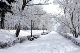 Kiedyś Krosno Odrzańskie zasypywało mnóstwo śniegu. Jak dawniej wyglądały zimy w naszym mieście? Zobacz archiwalne zdjęcia