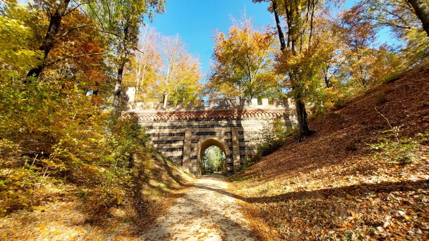 Park Mużakowski jesienią jest naprawdę przepiękny