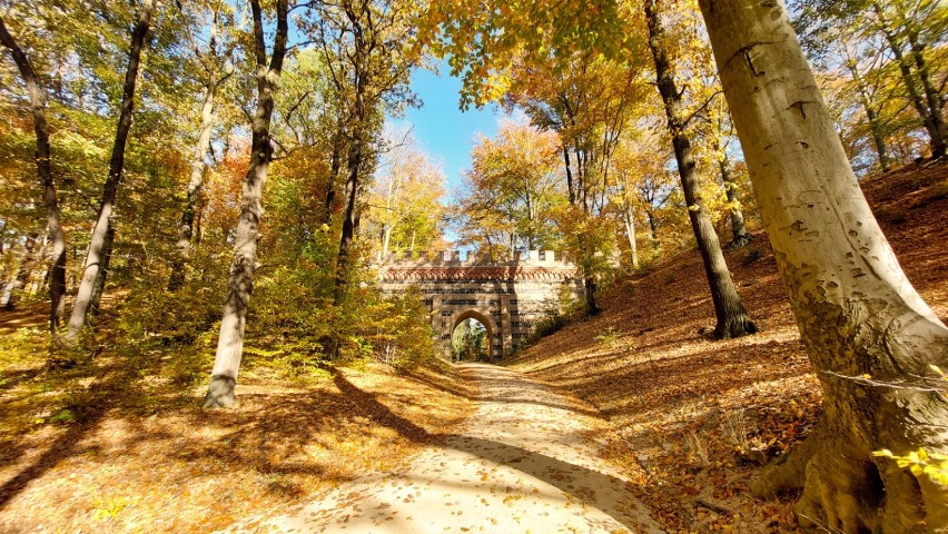 Park Mużakowski jesienią jest naprawdę przepiękny