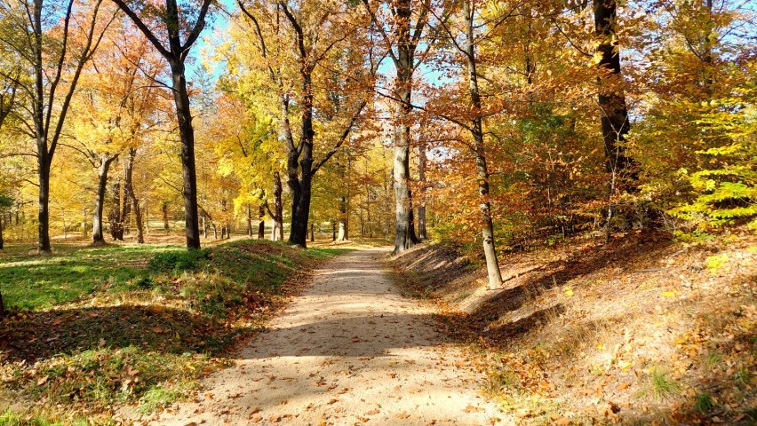 Park Mużakowski jesienią jest naprawdę przepiękny