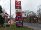 Zmiany w cenach paliw w Krośnie Odrzańskim i Gubinie. Wszedł w życie niższy VAT na paliwie. Ile zapłacimy w Lubuskiem?