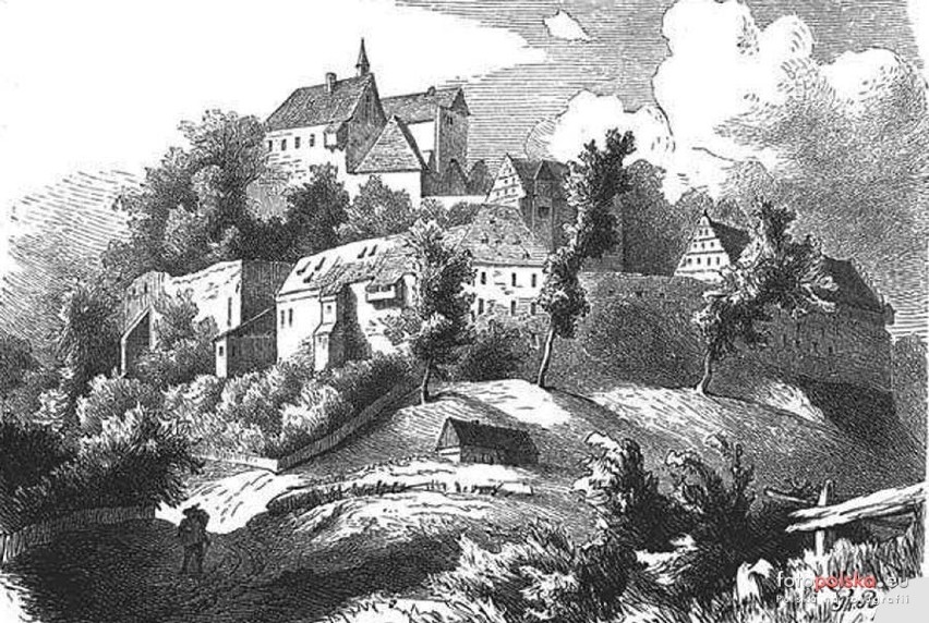 Zamek Gryf do XVIII wieku był warownią, górującą nad...