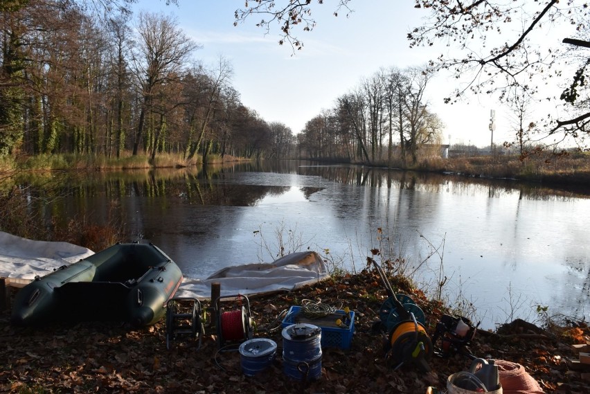 Szukają Skarbów ukrytych w ciężarówkach. Czy je znajdą?