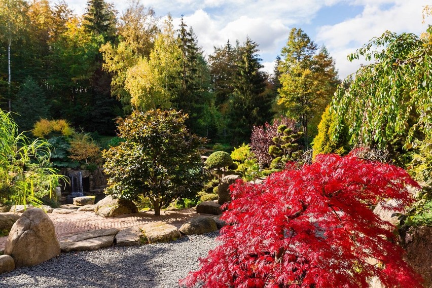 Feeria egzotycznych barw w japońskim ogrodzie Siruwia i Festiwal Samurajów już na majówkę