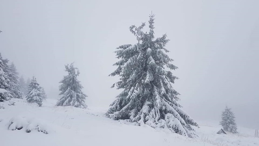 Mamy pierwszy śnieg na Dolnym Śląsku. Zima coraz bliżej? 
