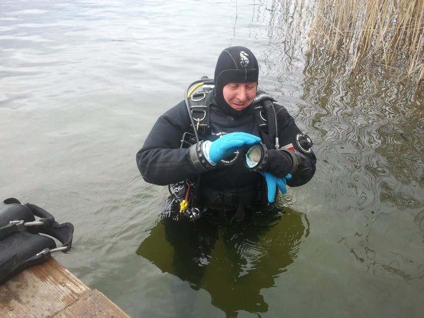 Niesamowite historie nurka o Jeziorze Orłowskim. Jak wygląda życie pod wodą [zdjęcia]