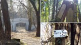 Tajemnice cmentarza żydowskiego w Częstochowie. To jeden z największych kirkutów w Polsce - zobacz jak wygląda... ZDJĘCIA