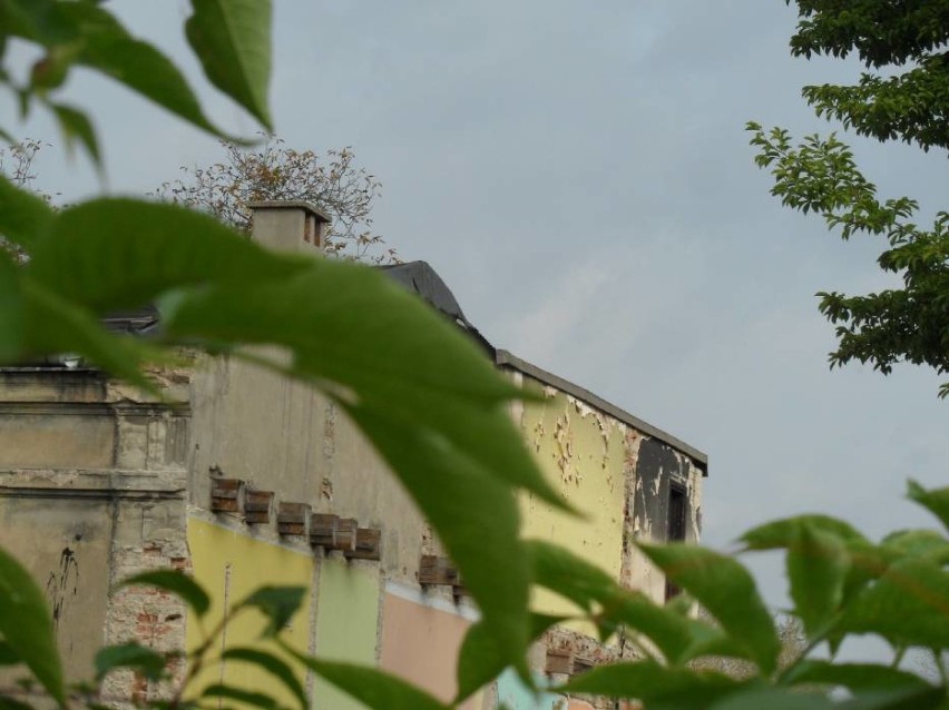 Przykry widok! Oto zniszczona willa Hofmanna w Częstochowie. Niegdyś perła architektury, a teraz? Zobacz zdjęcia