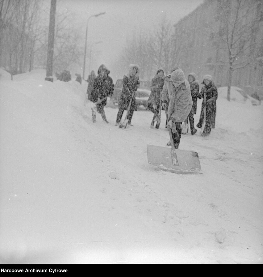 Zimą 1979 śniegu napadało tyle, że za odśnieżanie ulic...
