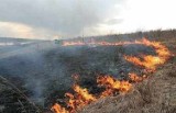 Z regionu: tragedia podczas wypalania traw. Nie żyje 68-letni mężczyzna 