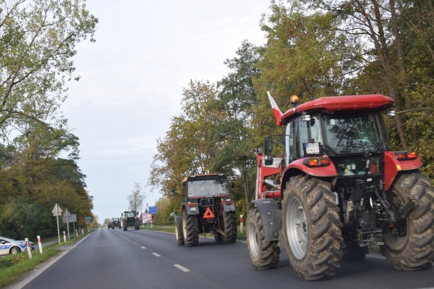 Strajk rolników z Agrounii w środę. Przejadą z Wróblewa przez Zduńską Wolę i Łask do Łodzi