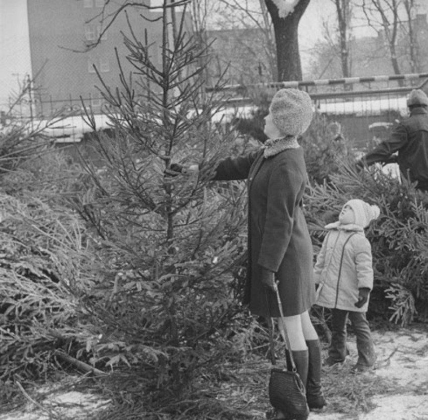 Kolejki po pomarańcze i karpie pływające w wannie, czyli Boże Narodzenie w PRL-u. Pamiętacie takie czasy? ARCHIWALNE ZDJĘCIA