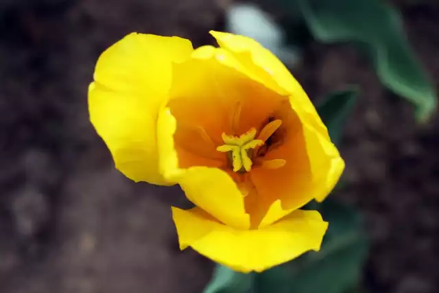 Oryginalne życzenia imieninowe dla solenizanta będą miłą niespodzianką. Sprawdź, jakie życzenia na imieniny będą najfajniejsze.