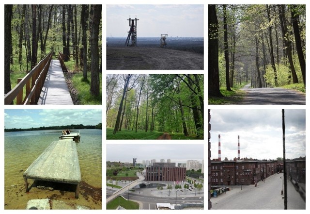 Majówka 2020. Wybraliśmy TOP10 miejsc na spacer w Katowicach.

Zobacz kolejne zdjęcia/plansze. Przesuwaj zdjęcia w prawo - naciśnij strzałkę lub przycisk NASTĘPNE