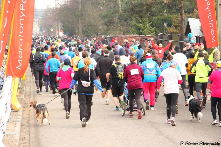 Półmaraton Wiązowski 2017. Jeden z najstarszych biegów w...