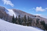 Laworta Ski (Góry Sanocko-Turczańskie) - pogoda na stoku - 31.03.2024. Sprawdź warunki pogodowe przed wyjazdem na narty!