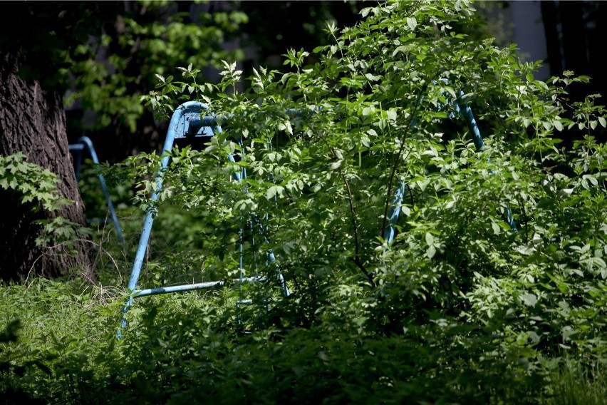 Kraków. Księża otworzą park, gdy dostaną kamienicę