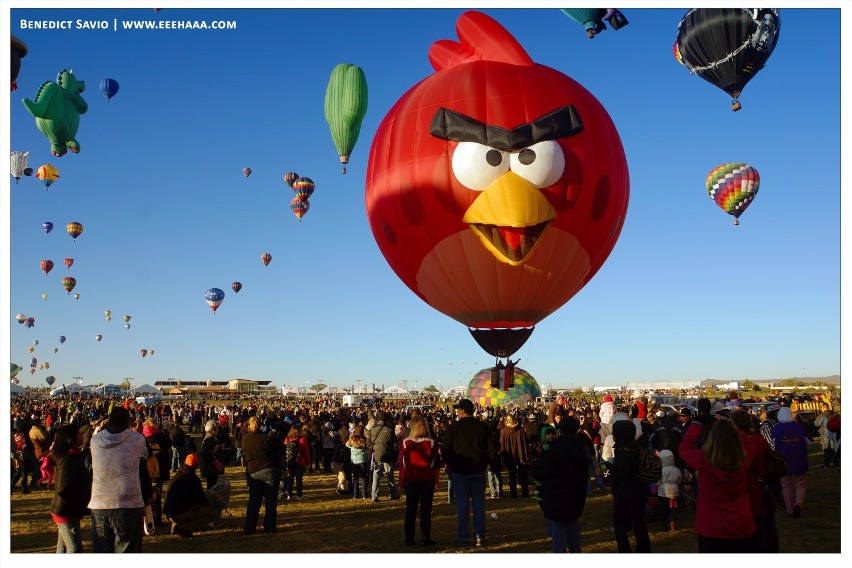 Angry Birds Film.Nad Galerią Malta zawiśnie balon Angry Birds [nasz patronat]