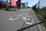 Ścieżki rowerowe w Wągrowcu. Gdzie są? Jaka jest ich długość?