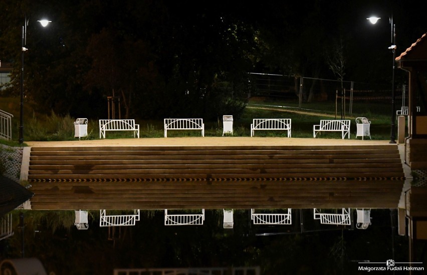 Park przypałacowy w Żarach