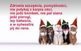 Życzenia bożonarodzeniowe 2016: SMS, śmieszne wierszyki świąteczne