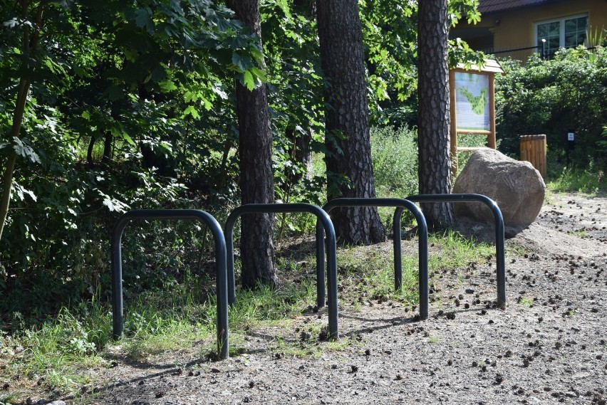 Park Braniborski w Zielonej Górze w wakacyjnej odsłonie....