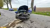 Wypadek w Brudzyniu pod Janowcem Wlkp. - zdjęcia. Kierowcy trafili do szpitala 