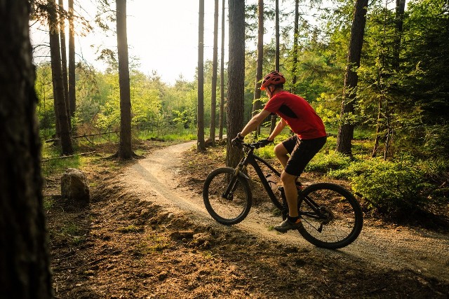 Rowery MTB w dobrych cenach. Zakup tych rowerów górskich warto rozważyć