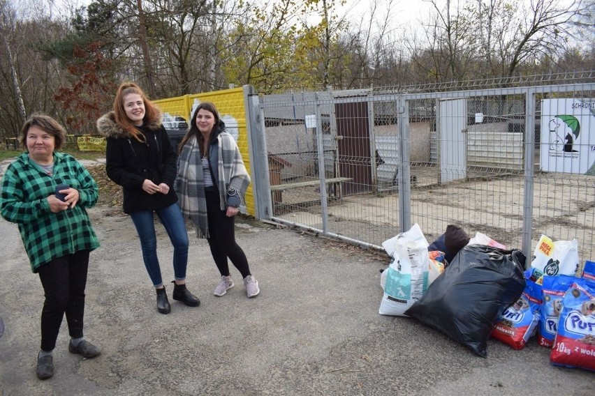 Uczniowie „Rolnika” w Tarnobrzegu pomogli zwierzętom. Zebrali karmę i nie tylko (zdjęcia)