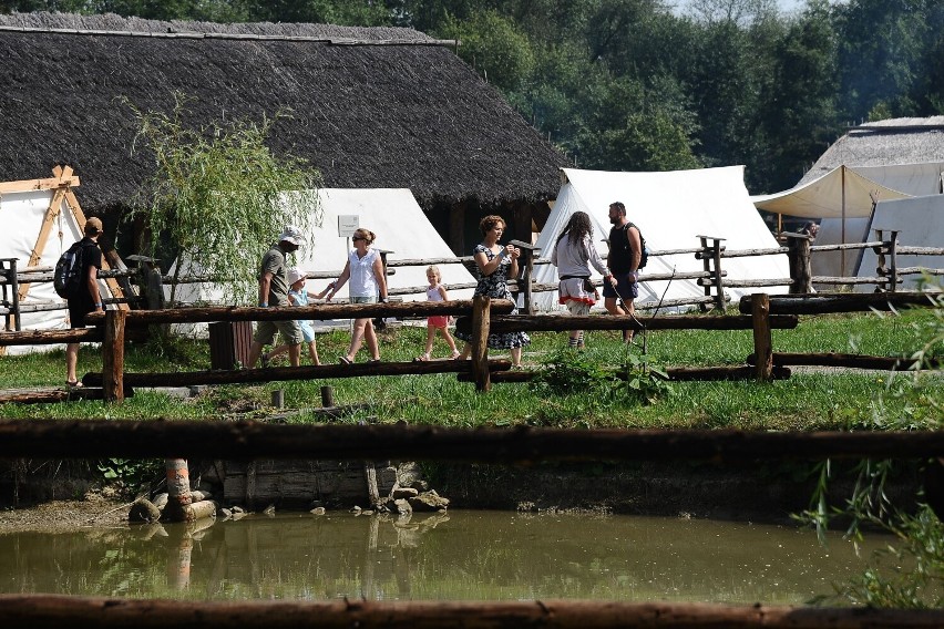Trwa festiwal archeologiczny w Karpackiej Troi w Trzcinicy