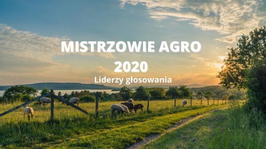 3. miejsce w kat. Sołtys Roku
Zdzisława Badowska
Sołectwo...