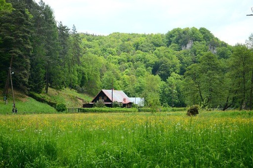 Agroturystyka Eden

Złotoryjska 2, 59-540 Sędziszowa