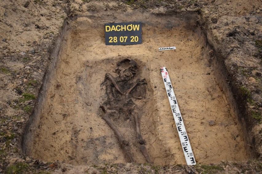 Szczątki kobiety zostały znalezione w lesie koło Dachowa...