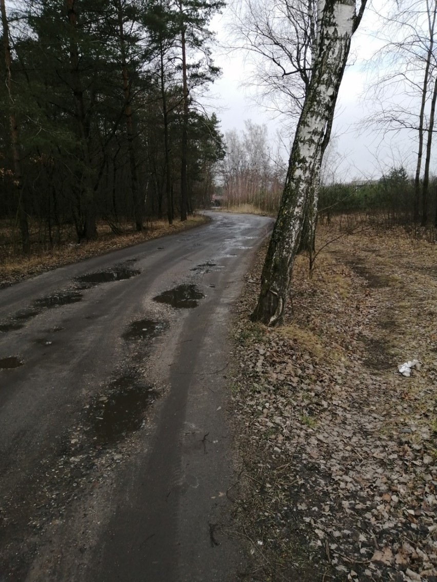 Koronawirus. Jak to jest z tym zakazem korzystania z parków i zieleńców? Lasy państwowe wprowadziły zakaz