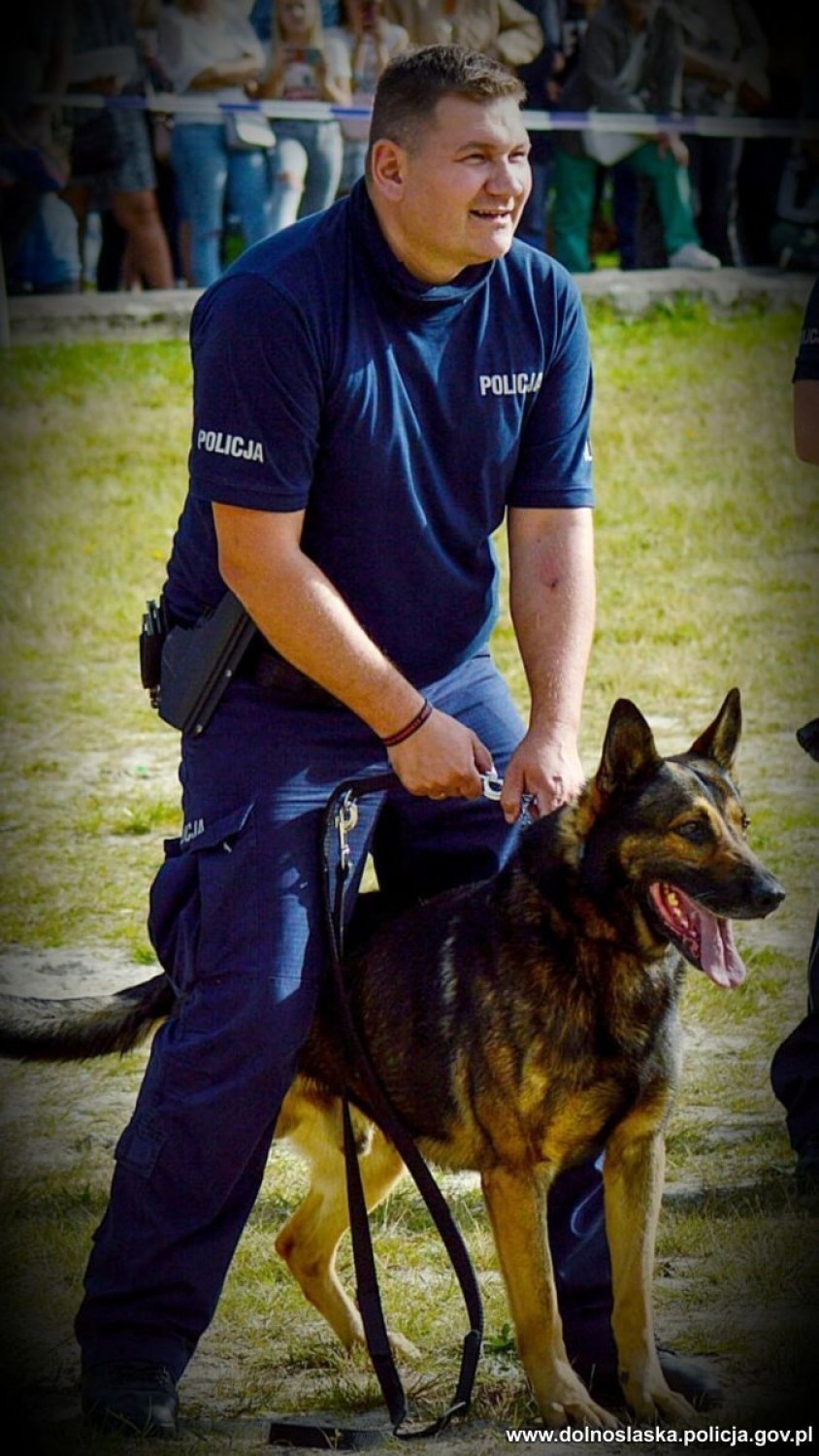 JUKON, owczarek niemiecki, pies patrolowo-tropiący, 5 lat w...