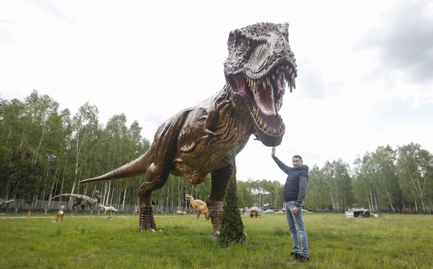 Dinozaury w Kolbuszowej czyli Jurajski Park Brzezóvka.