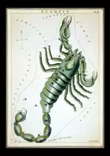 Horoskop zdrowotny dla Skorpionów na lipiec