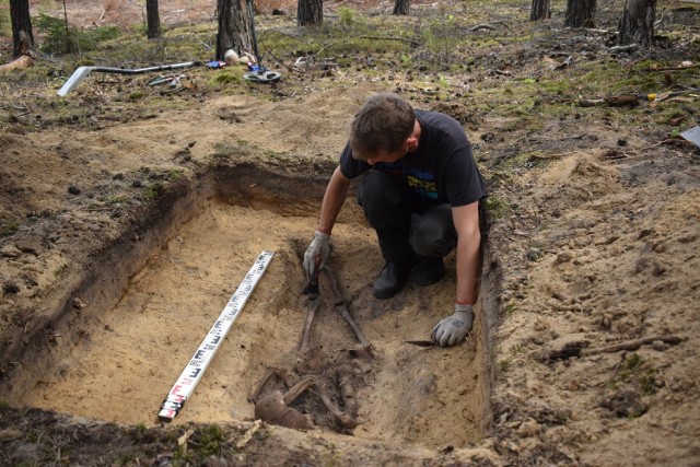 Szczątki kobiety zostały znalezione w lesie koło Dachowa (gm. Bobrowice).