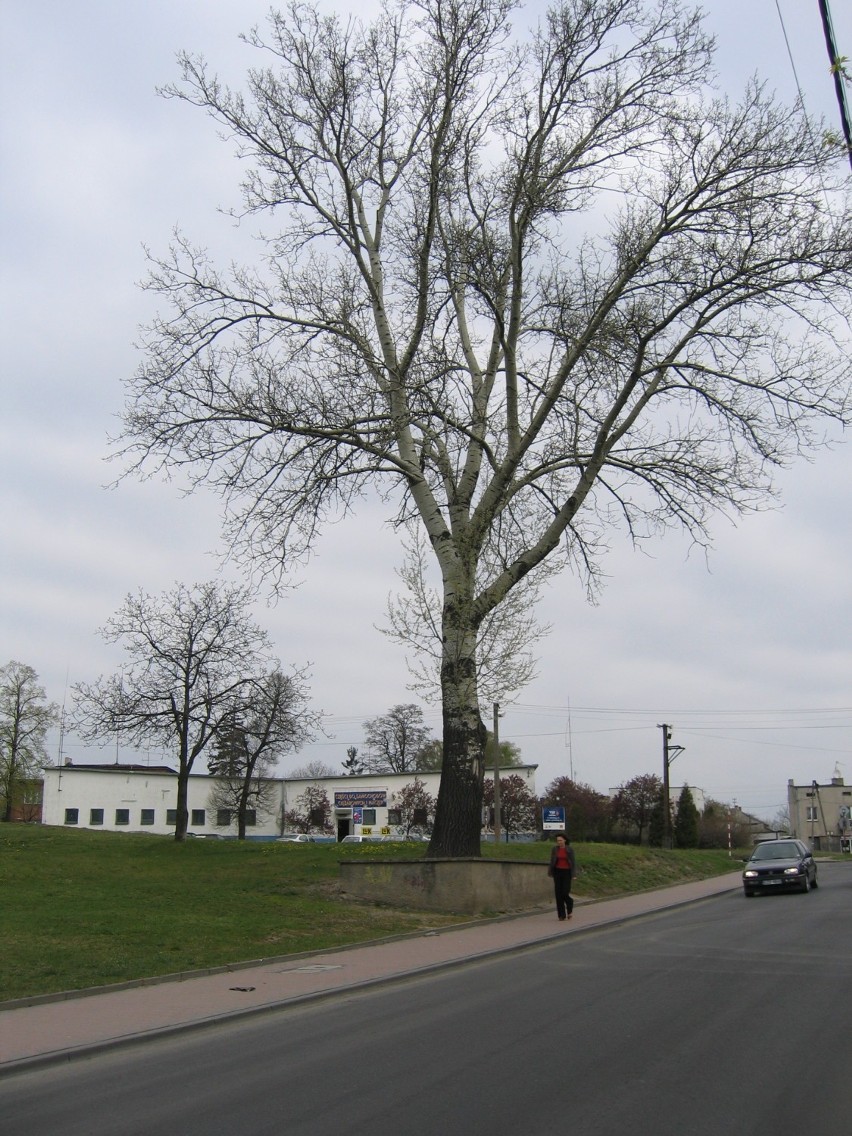 Zduńska Wola. Tak wyglądało miasto w latach 2006 - 2007...