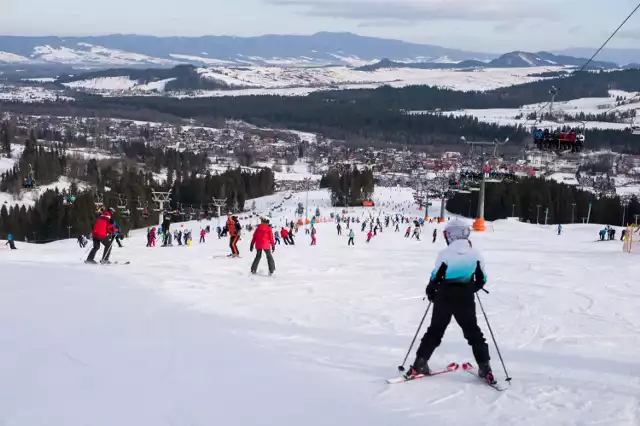 Na stoku na Górce Szczęśliwickiej przy ul. Drawskiej 22 możemy jeździć przez cały rok. Ośrodek czynny jest codziennie od 10:00 do 20:00. W tych godzinach prowadzone są indywidualnie szkolenia z instruktorami. Można nie tylko uczyć się jazdy klasycznej, ale też zjazdu slalomem z całym niezbędnym sprzętem, czyli tyczkami i pomiarem czasu. W ofercie znajdują się jednak nie tylko narty, ale też snowboard. Jedna osoba za godzinę nauki zapłaci 70 zł, a za dwie godziny - 130. Dwie osoby za godzinę zapłacą 100 zł lub 160 zł za dwie godziny, a trzy osoby za godzinę zapłacą 130 zł lub 200 zł za dwie godziny.

Na miejscu działa również wypożyczalnia sprzętu, w której znajdziemy wszystkie niezbędne rzeczy. ypożyczenie kompletu narty/snowboard, buty i kije na godzinę kosztuje 25zł, kolejna godzina – 10 zł.

Można też odwiedzić giełdę narciarską, która działa przez całą zimę, a także latem w wybrane dni. Znajdziemy ją na poziomie -1, na wysokości wypożyczalni.

Czytaj też: Co robić zimą w Warszawie? Mamy dla was aż 15 propozycji! [PRZEGLĄD]