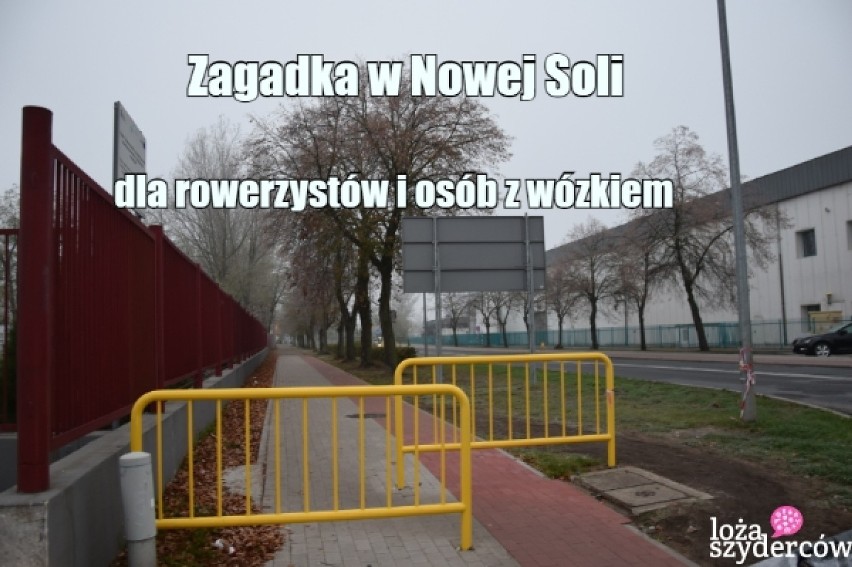 Memy o Nowej Soli i nie tylko. Przejdź do galerii i zobacz,...