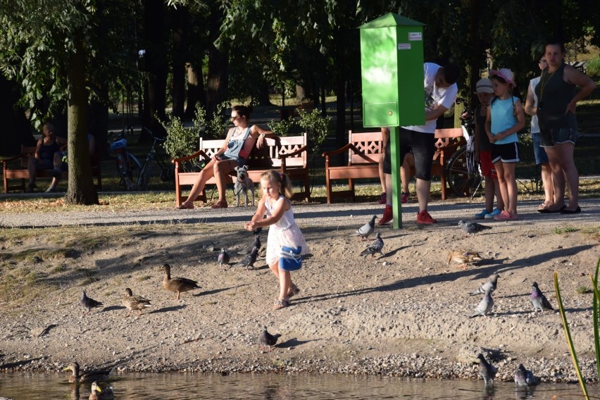 Kaczkomat w parku w Zduńskiej Woli. Działa i mieszkańcy z...