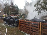 Tragiczny pożar ok. 30 kilometrów od Świebodzina. W zgliszczach znaleziono zwłoki mężczyzny