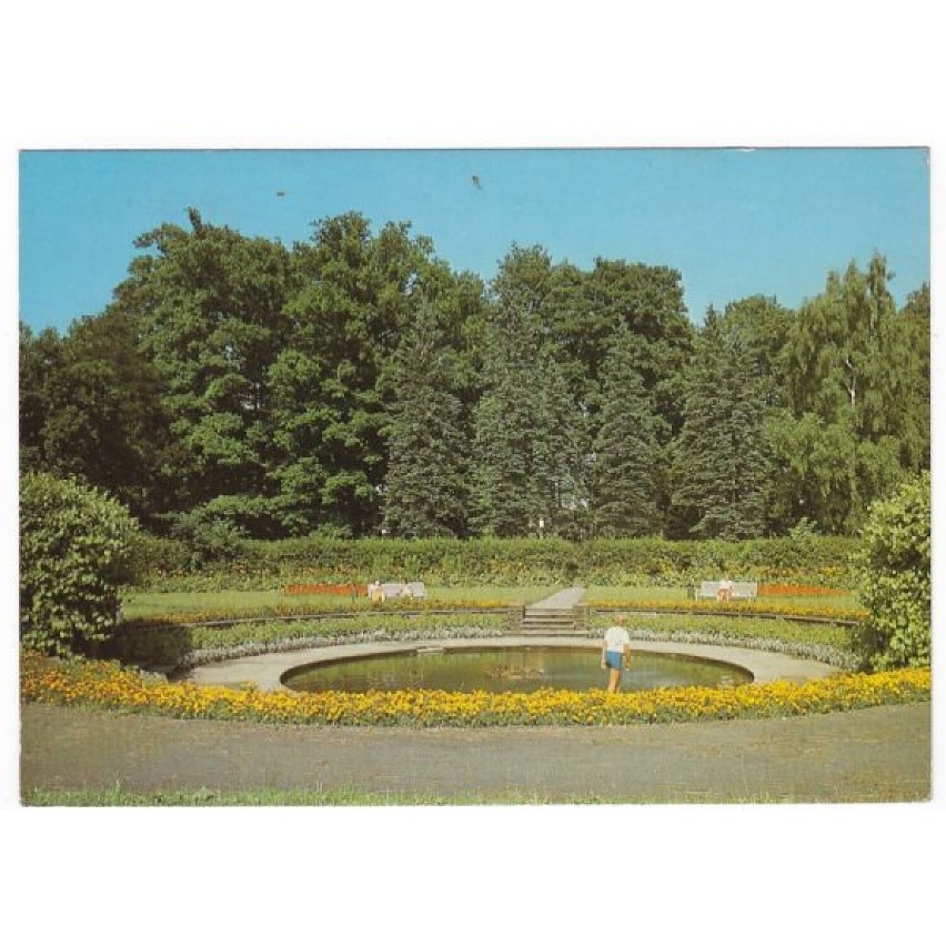 Fragment parku , 1978 r.