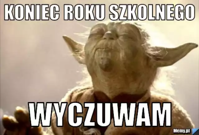 Początek wakacji! Koniec szkoły, czas na wyjazd w sandałach i skarpetkach! [MEMY]