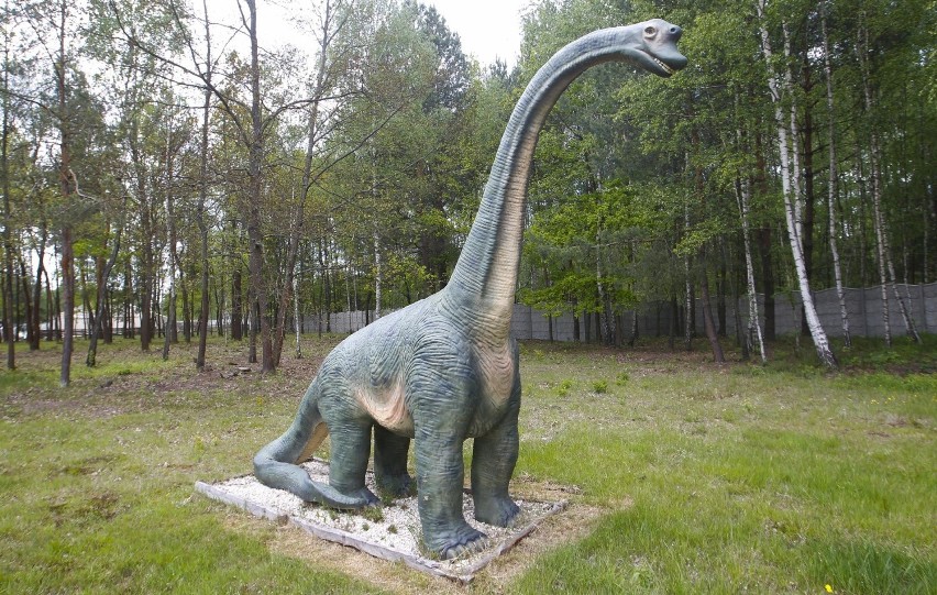 Dinozaury w Kolbuszowej czyli Jurajski Park Brzezóvka.