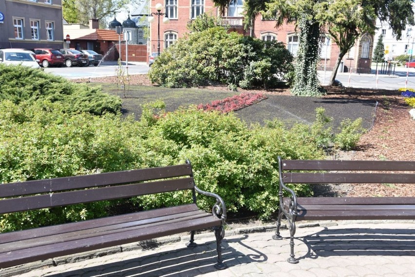 Rynek w Odolanowie zazieleniał. Kwiaty zamiast trawy. ZDJĘCIA