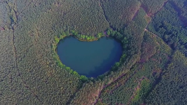 Lubuski cud natury. Jezioro w kształcie serca leży 70 km od Zielonej Góry. To niecała godzina drogi samochodem.