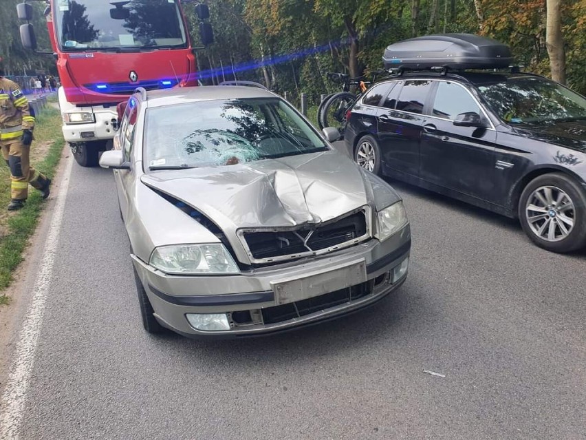 Wypadek w Chałupach: potrącona 14-letnia mieszkanka Bełchatowa została zabrana przez LPR do szpitala